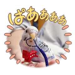 yurina_20251117153128