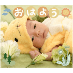 juringo_20251117160437