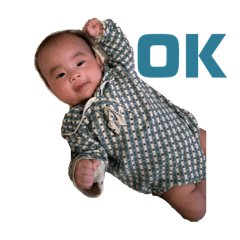 hinagi_20251117162720