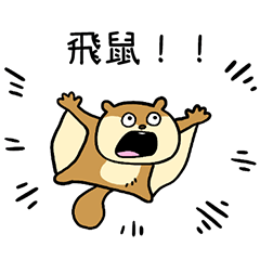 Soar! Flying Squirrel! Taiwan Version