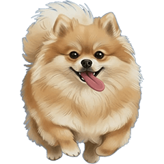 Pomeranian dog  #1