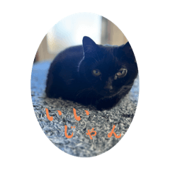 Momoko_20251117201120