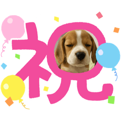 NEZUKO_20251117200904