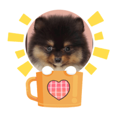 melon_20251117170355