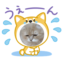 ryoga_20251117204006