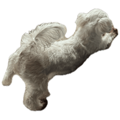 Hana87_20251117230319