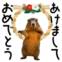 動く！マーモットあけおめスタンプ