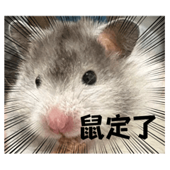 不小心就出了續集