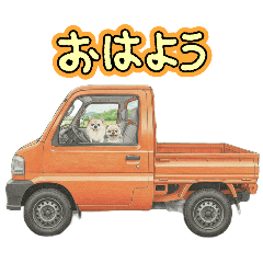 Chie_20251117224444