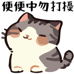 幹話貓球♥喵喵特輯