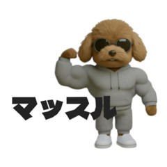 マッスルトイプー①