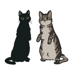 Black and Tabby two cats