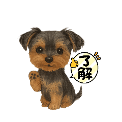 cocoa_20251117193400