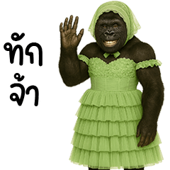 กอลิชุดหวานแหวว 03