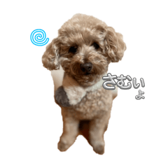 lemon_20251118072311