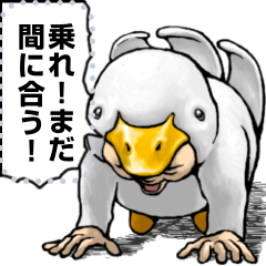 あひるぐるみ_massage_α