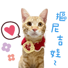 拿抹布來擦桌子