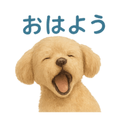 JUNey_20251117212733