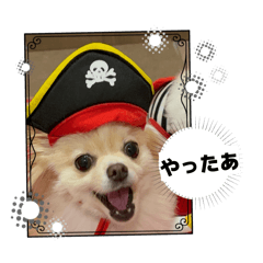 YUKARI TSUKIMURA_20251118102514