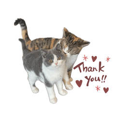 arisa_20251117233159