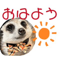 REI_20251117235924