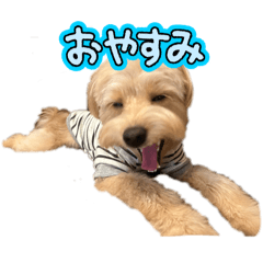 potato_20251118001017