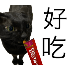 黑嚕嚕是隻貓
