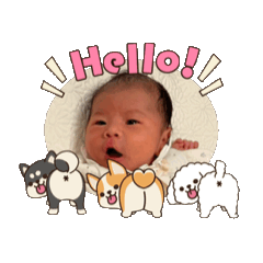 mamuu_20251118110905