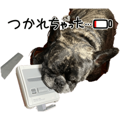 rei_20251118020120