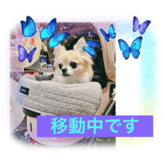 tomomi_20251118090247