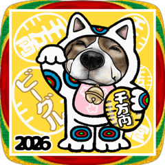 ビーグル犬お正月②