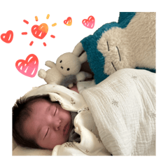 wa-san_20251118122813