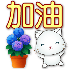 可愛白貓❤️實用問候貼圖大字