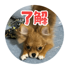 つむぎときなこ