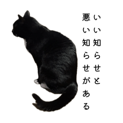 Eriko_20251118145352