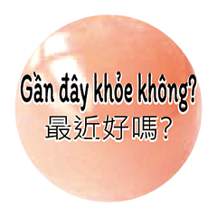 Taiwan Vietnam Dialogue Crystal Ball 5