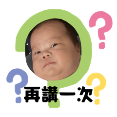 柚子寶寶的日常生活