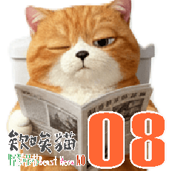 Ai Ai Cat 08 Just replying to you