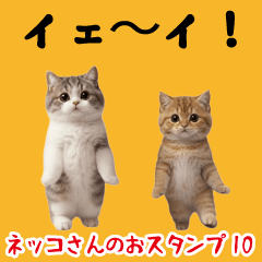 Easy-to-use cat sticker10.