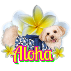 Happy Aloha sticker