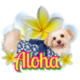 HAPPY ALOHA