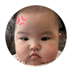 cocoa_20251118124552