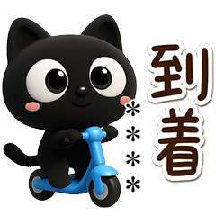 Very cute black cat (3D) custom