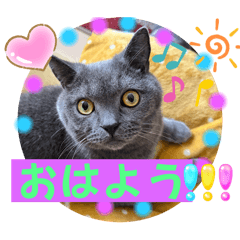 Junko_20251118125100