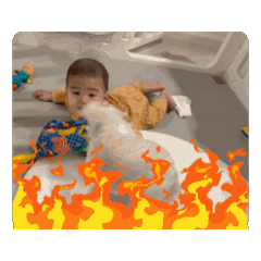 ryota saito_20251118193948