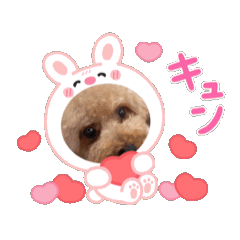 Satochan_20251118230028