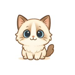 petit(ragdoll)