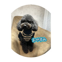 Ryutaro_20251118173728