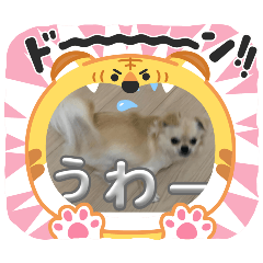 yuina_20251118194946