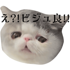 honey_20251118164048